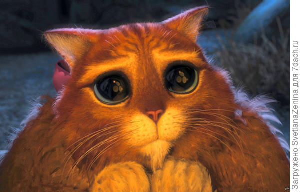 Возьмите меня, пожааалуйста! )