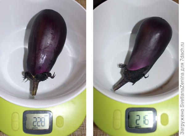 Сиреневый туман