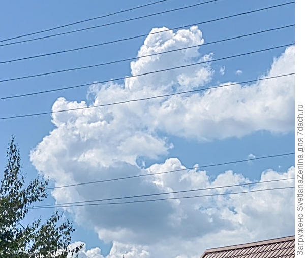 Голову назад запрокинув, тянет ангел руку...