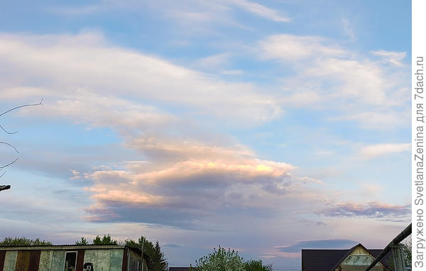 Подкрашены закатом