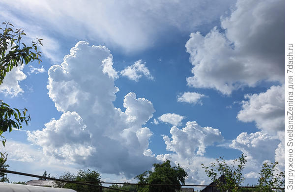 Винни Пух от динозаврика бежит. Сверху белка за ними следит...