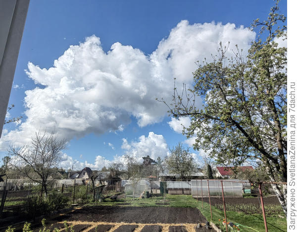 Арка над огородом