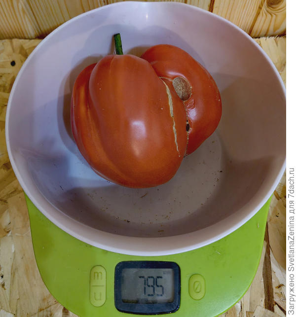 не из люльки, но с того же куста