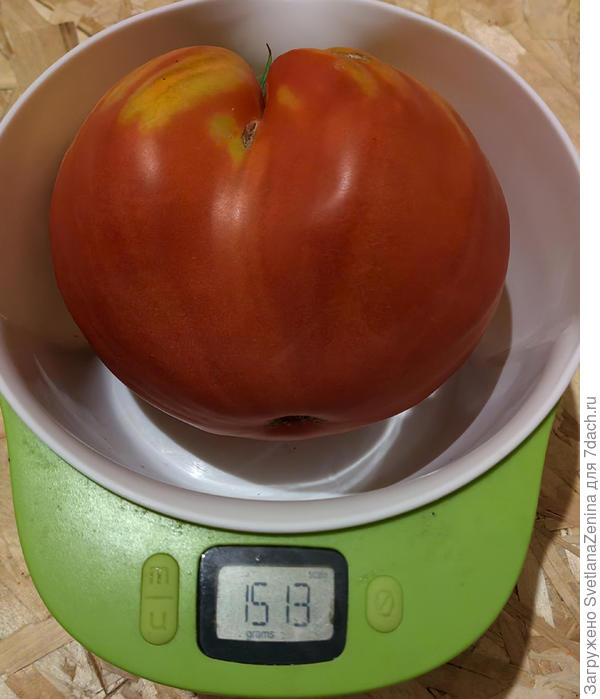 из люльки