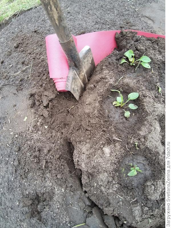 Зоны отделила лентой