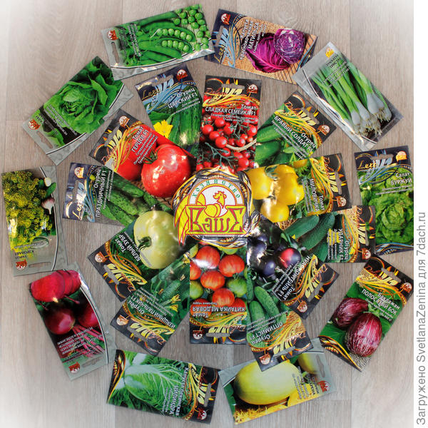 22 пакетика с семенами ВХ