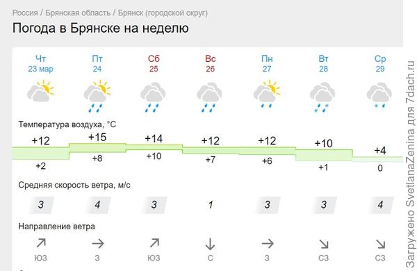 Такая погода