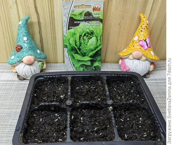 Первый посев 26.05