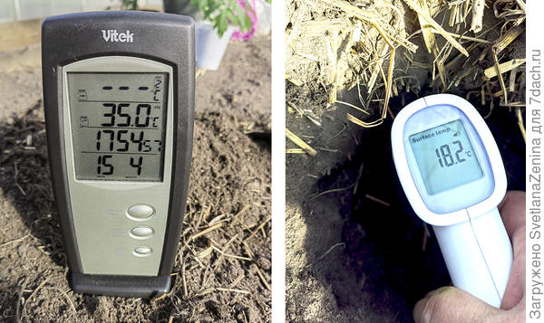 Температуры в день посадки