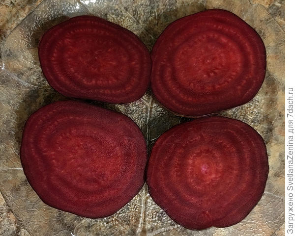 Сырая в разрезе