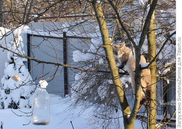 А это наш пару лет  назад