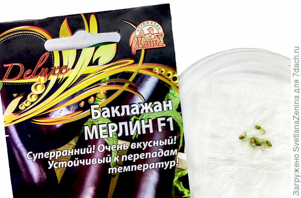 Семена проклюнулись 9 марта