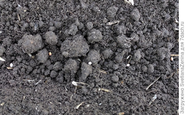 Посев в бороздку