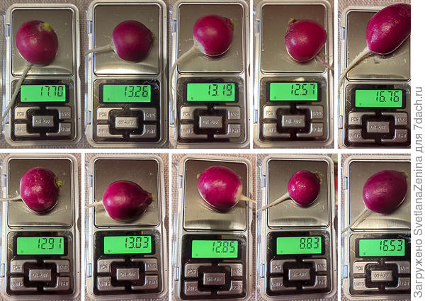 Первый сбор