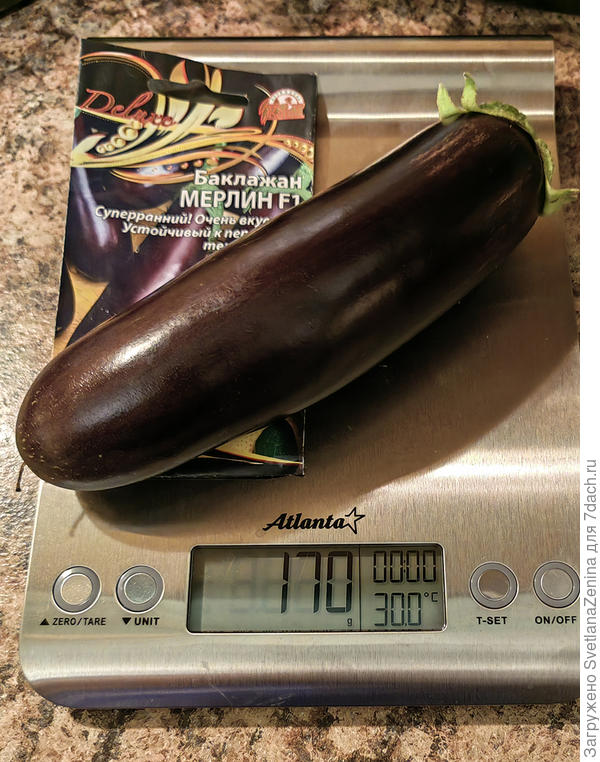 Самый мелкий