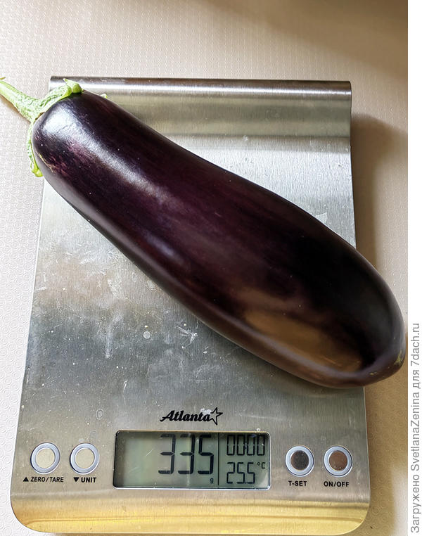 Самый крупный