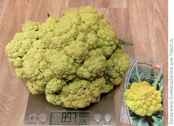 Купеческая