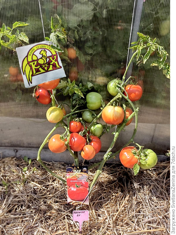 На улице 4.08