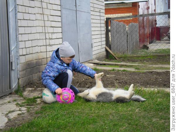 Отдыхаем от усердных тренировок.