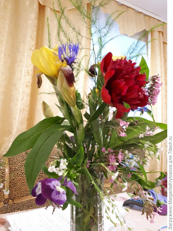 А я свой первый пион сегодня на букет пустила, пусть дома меня радует))