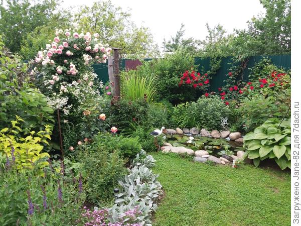 Фото: Мой Сад, магазин для садоводов — Яндекс Карты