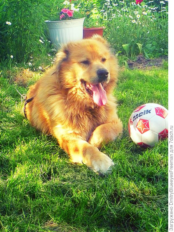 Как положено, после первого тайма у нас перерыв)