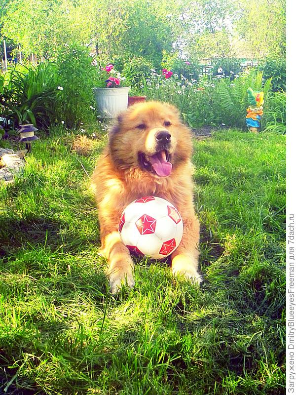 И вот  матч завершен! Вы спросите, кто победил...? 
- Конечно же,  Рем;) 
В ожидании награждения)))