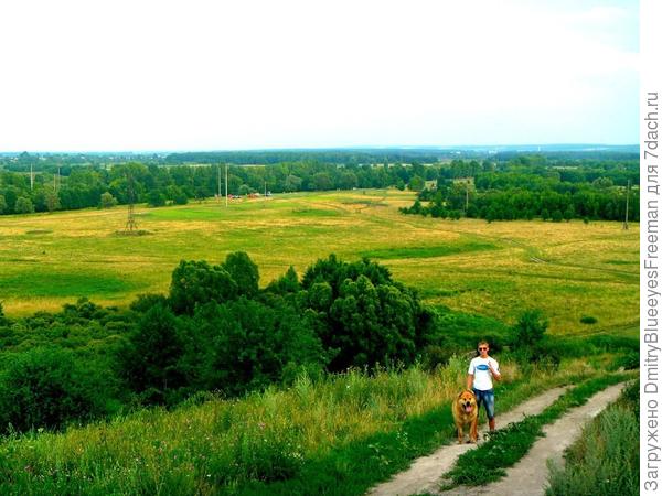 Возвращение домой из леса.