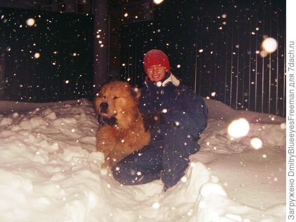 Вышли лепить..., кому что- мне бабу снежную))), Рему косточку)))