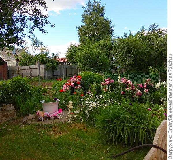 Цветы