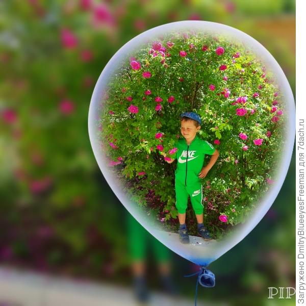 Дети это праздник длиною жизнь