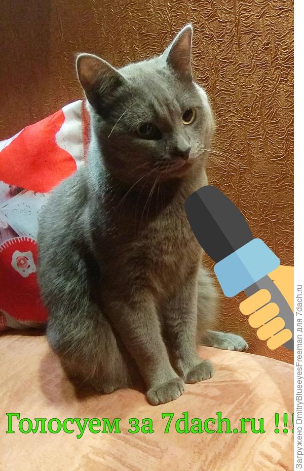 Интервью с Оскаром)))