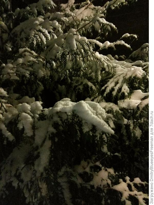 Сегодня погода порадовала снегом