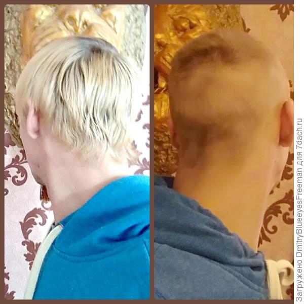 До и после. Жена подстригала в первый раз, и она справилась))) Жене и машинке по 5-ке!)))