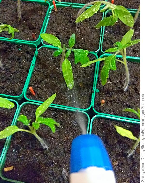 Процесс удобрения