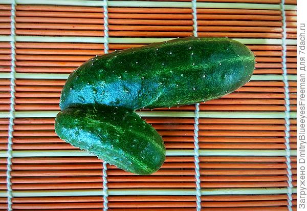 Кураж в кураже