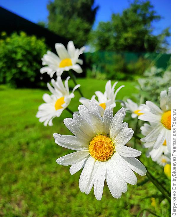 Самая красивая, и не спорьте 😁😘