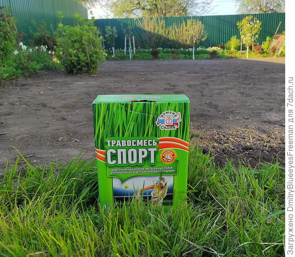 Спортивный газон