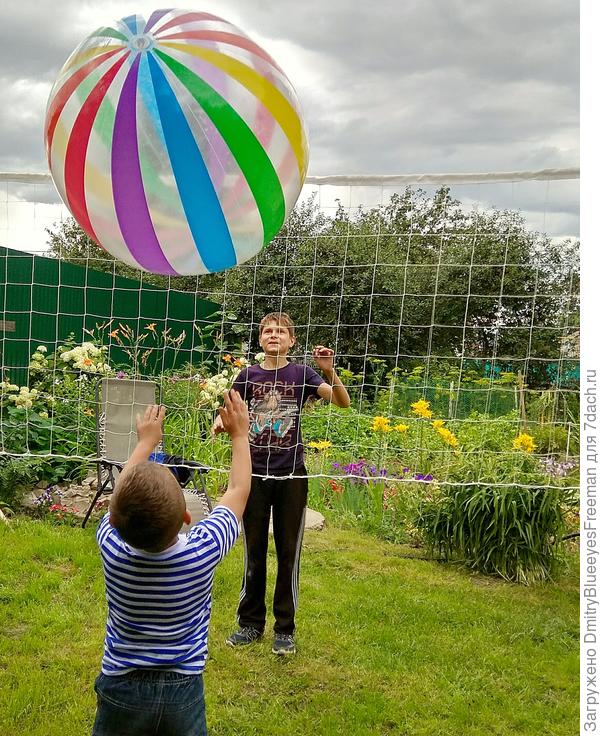 Молодёжь играет в волейбол