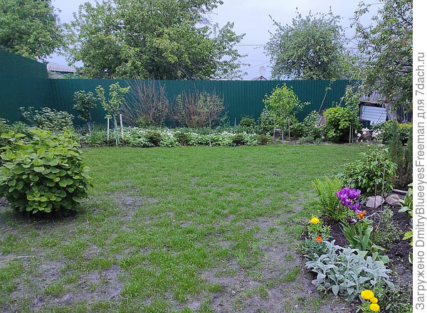 Травосмесь начала давать рост