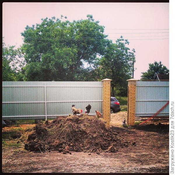 Двор перед домом