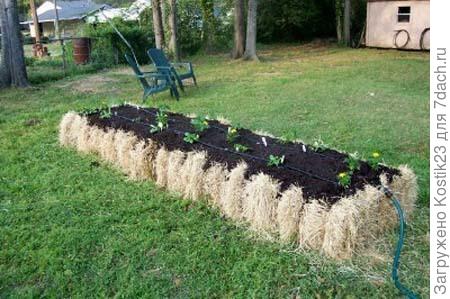 Высокая грядка из сена...
