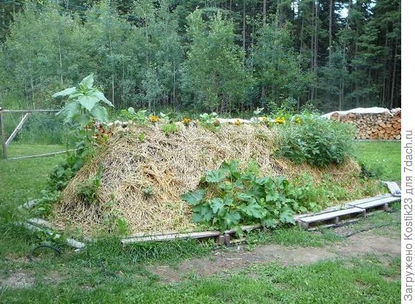 Насыпная грядка....