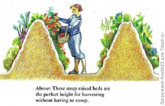 Насыпные грядки.