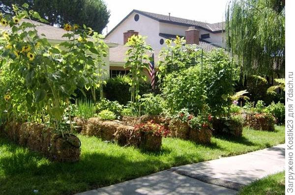 Грядка внутри тюка ...