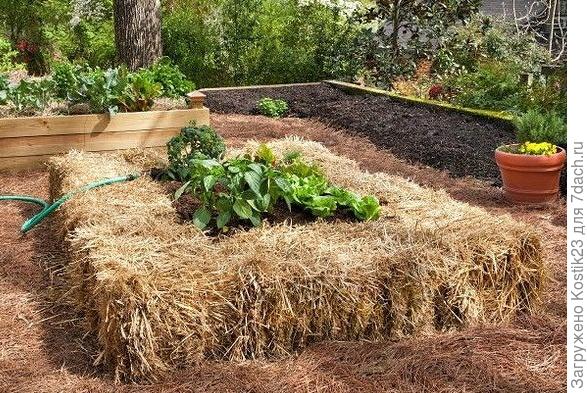 Грядка из тюков...