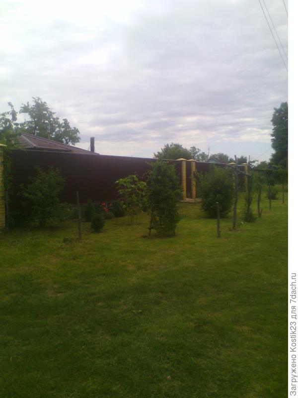 Детвора местная любит на ней резвиться ...