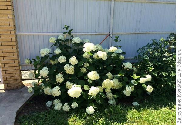 Вот уже 15:00 а тут тенёк..