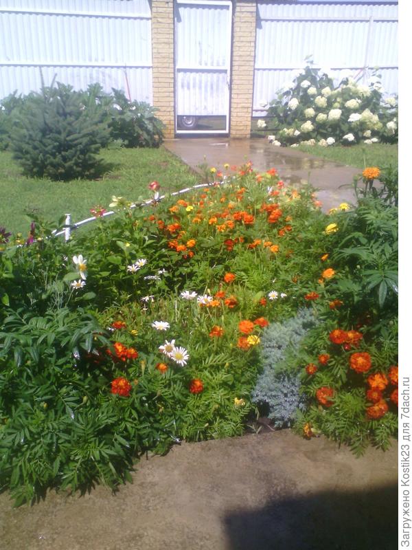 Освежило :) !