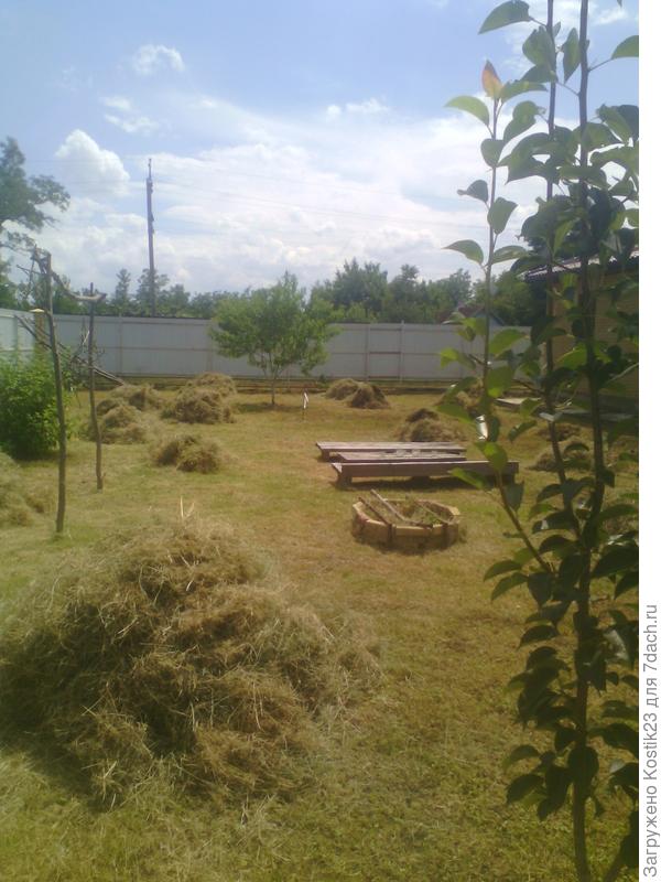 Сначало по кучкам.